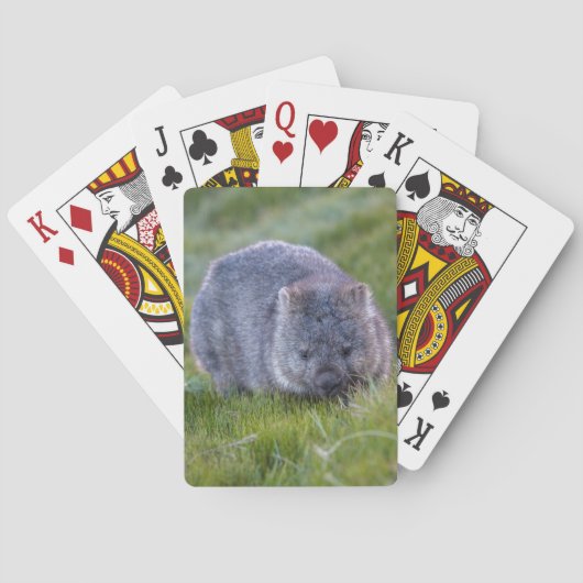 Jeu De Cartes Wombat Australie (dos)