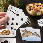 Jeu De Cartes Wyoming, comté de Sublette, lapin de Nuttall (In Situ)