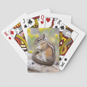 Jeu De Cartes Wyoming, Comté De Sublette, Moins Chipmunk