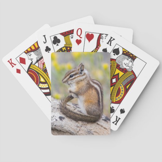 Jeu De Cartes Wyoming, Comté De Sublette, Moins Chipmunk (dos)