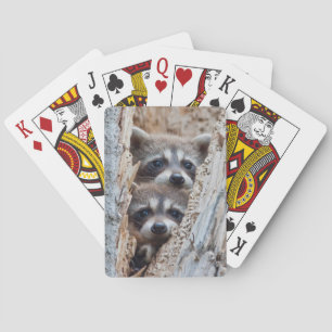 Jeu De Cartes Wyoming, Lincoln County, Raccoon