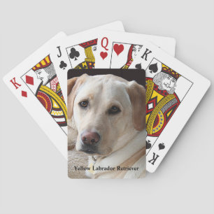 Jeu De Cartes Yellow Labrador Retriever