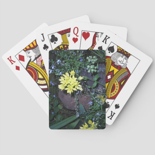 Jeu De Cartes Yellow Night Flowers Photo (dos)