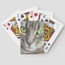 Yeux d'émeraude – Portrait d'un chat aux yeux vert