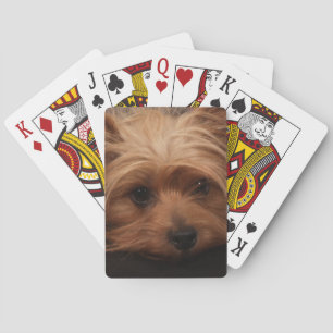 Jeu De Cartes Yorkshire Terrier Jouer des cartes