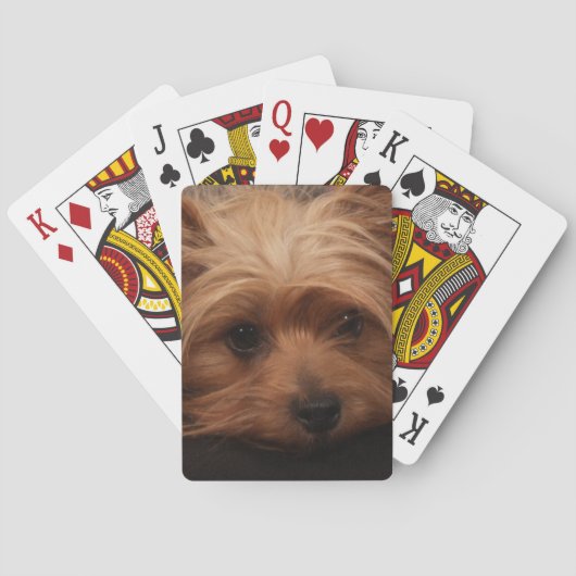 Jeu De Cartes Yorkshire Terrier Jouer des cartes (dos)