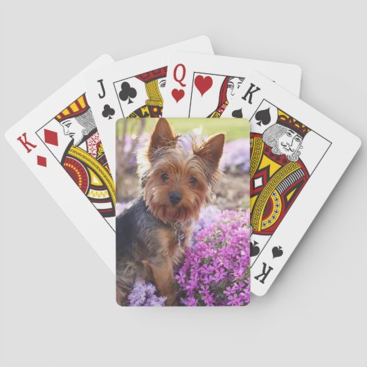 Jeu De Cartes Yorkshire Terrier Jouer des cartes (dos)