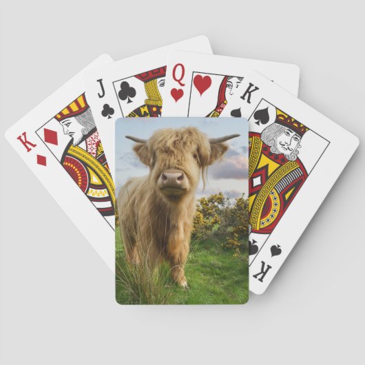 Jeu De Cartes Young Highland Cow (dos)