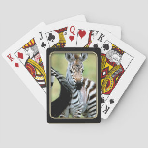 Jeu De Cartes Zebra Baby Photo Art Jouer des cartes