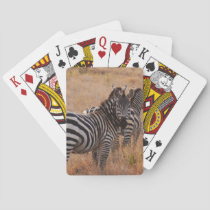 Jeu De Cartes Zèbre au Kenya