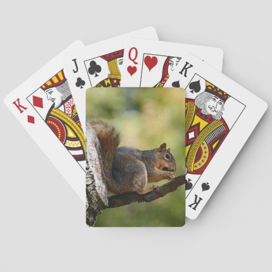 Jeu De Cartes Zen (dos)