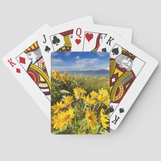 Jeu De Cartes Zone nationale des bisons (dos)