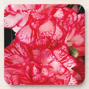 JEU DE DESSOUS DE VERRE carnation-CORC rouge et bl