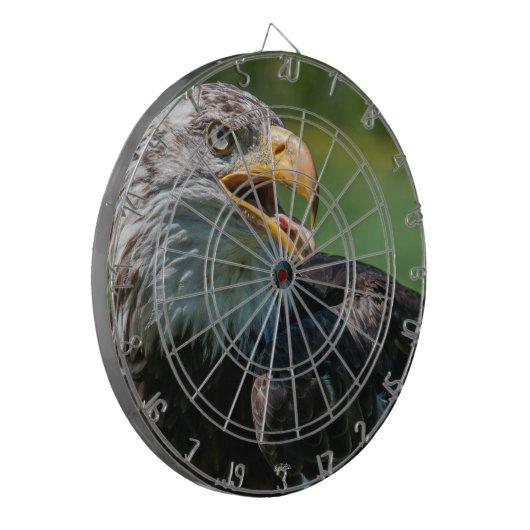 Jeu de fléchettes aigle (Devant gauche)