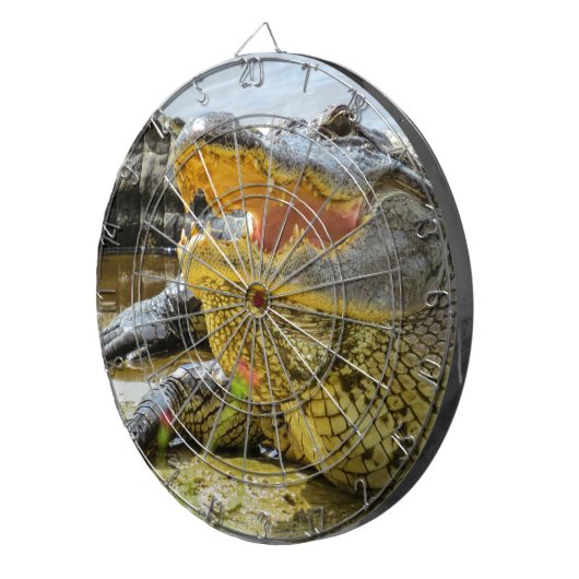 Jeu De Fléchettes Alligator. Face à face (Devant droit)