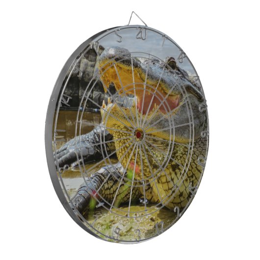 Jeu De Fléchettes Alligator. Face à face (Devant gauche)