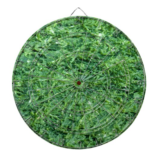 Jeu De Fléchettes Arrière - plan vert d'algues (Devant)