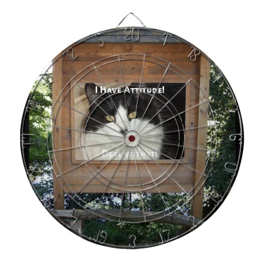 Jeu De Fléchettes Attitude du chat (Devant)