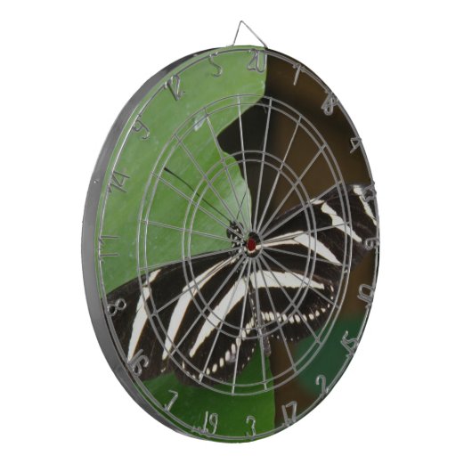 Jeu De Fléchettes Bandage (Devant gauche)