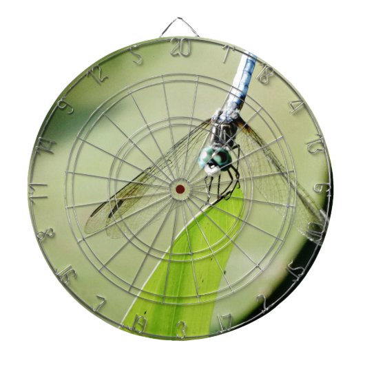 Jeu De Fléchettes Bleu libellule sur une feuille verte (Devant)