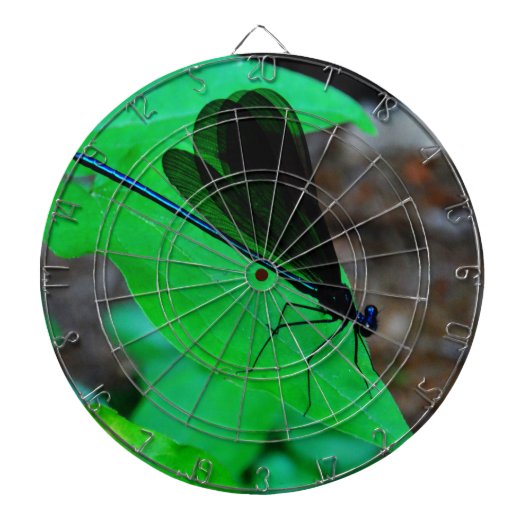 Jeu De Fléchettes Blue Damselfly on a green leaf. (Devant)