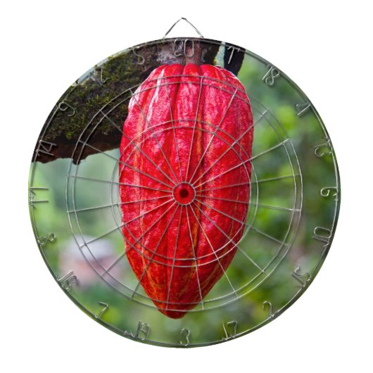 Jeu De Fléchettes cabosse rouge (Devant)