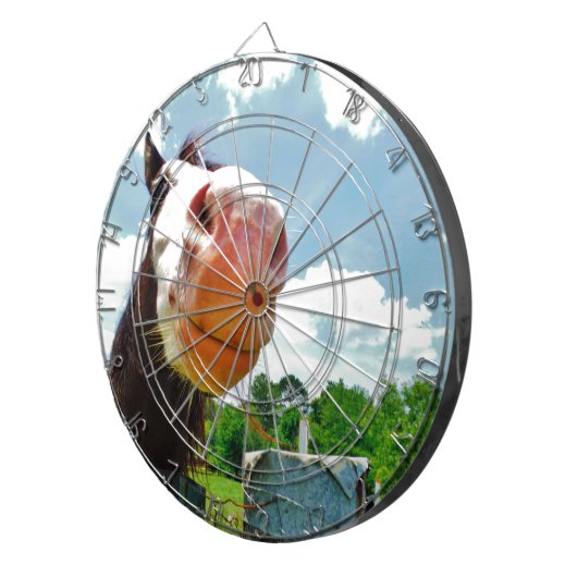 Jeu De Fléchettes Cheval souriant (Devant droit)