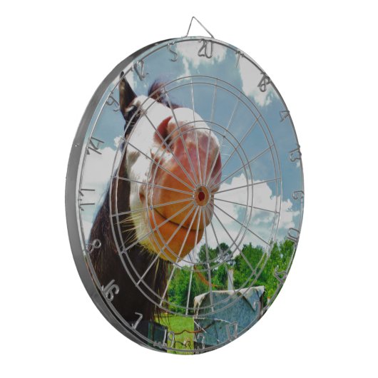 Jeu De Fléchettes Cheval souriant (Devant gauche)