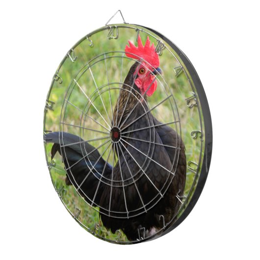 Jeu De Fléchettes Combattre le coq (Devant droit)