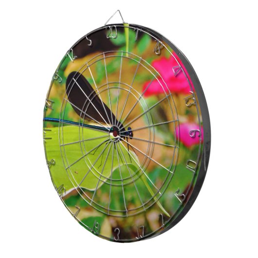 Jeu De Fléchettes Damselfly et Rose (Devant droit)