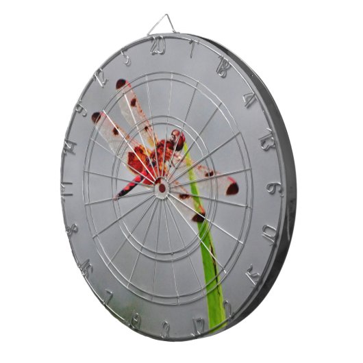 JEU DE FLÉCHETTES DSC00029.JPG (Devant droit)