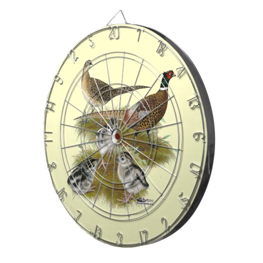 Jeu De Fléchettes Famille Pheasant Ringneck (Devant droit)