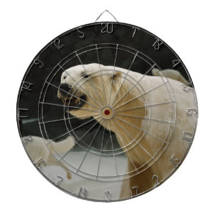 Jeu De Fléchettes Graine d'ours polaire
