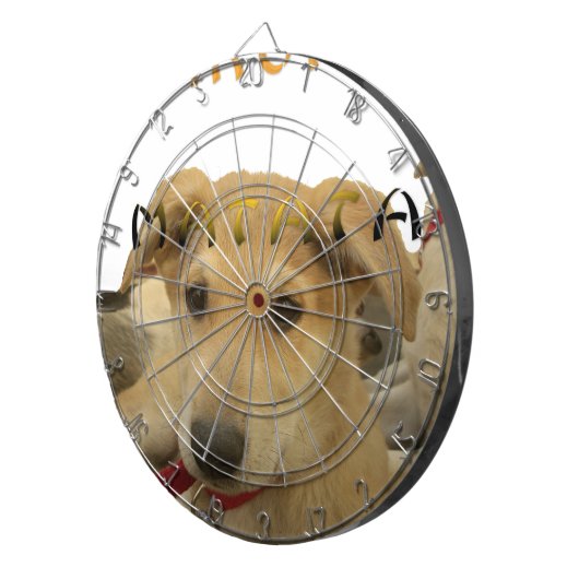 Jeu De Fléchettes "Hakuna Matata Pup" - Insouciant Amour des chiots (Devant droit)