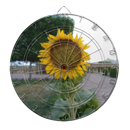 Jeu De Fléchettes Impression d'art Tournesol (Devant)