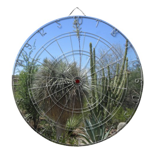 Jeu De Fléchettes Jardin de Cactus (Devant)