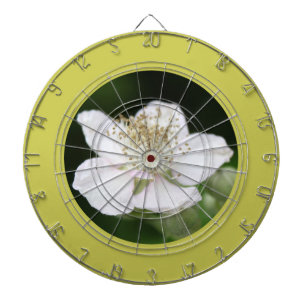 Jeu De Fléchettes Jolie fleur de framboisier blanche de printemps ph