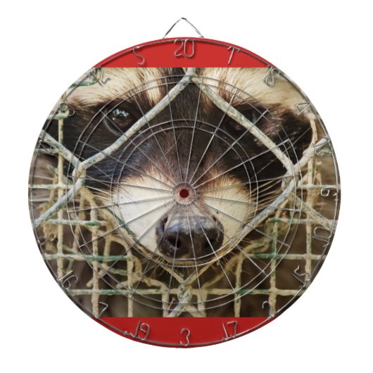 Jeu De Fléchettes le triste look d'un raccon derrière le tableau de (Devant)