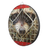 Jeu De Fléchettes le triste look d'un raccon derrière le tableau de (Devant droit)