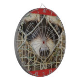 Jeu De Fléchettes le triste look d'un raccon derrière le tableau de (Devant gauche)