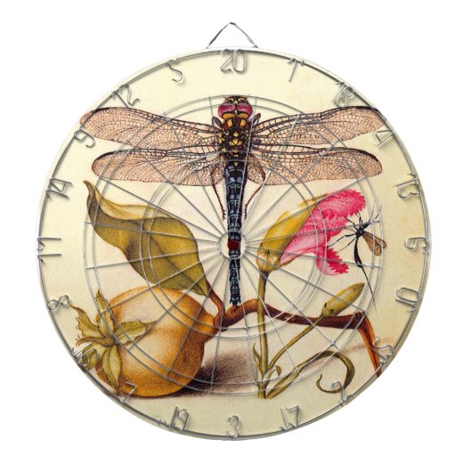 Jeu De Fléchettes Libellule Botanique Nature Faune Hoefnagel Art (Devant)