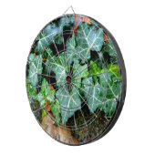 Jeu De Fléchettes Lierre vert botanique et pierre de champ (Devant droit)