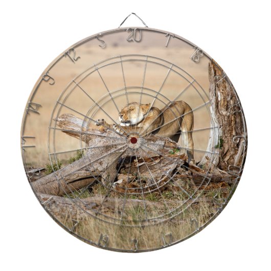 Jeu De Fléchettes Lioness stretching (Devant)