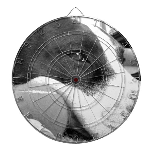 Jeu De Fléchettes mignon chien pitbulle à l'air triste noir blanc av (Devant)