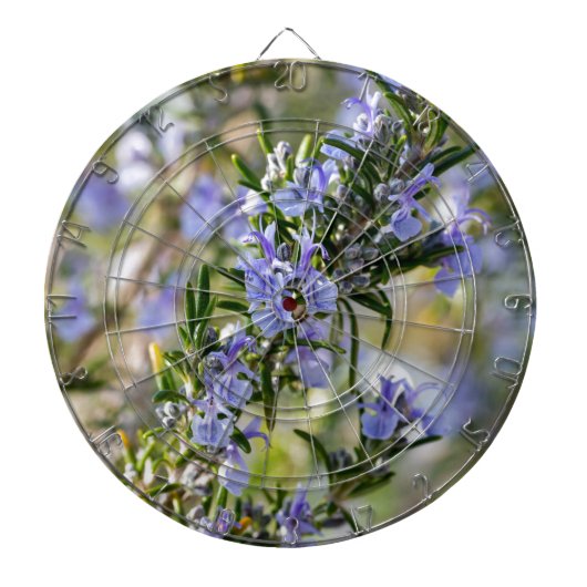 Jeu De Fléchettes Rosemary blossom in spring (Devant)