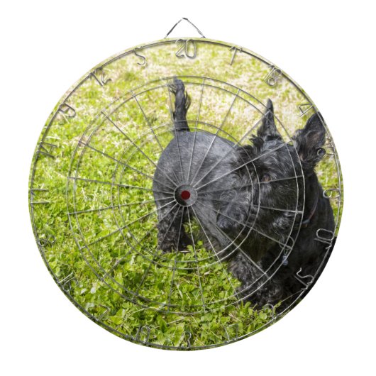 Jeu De Fléchettes Scottish Terrier (Devant)
