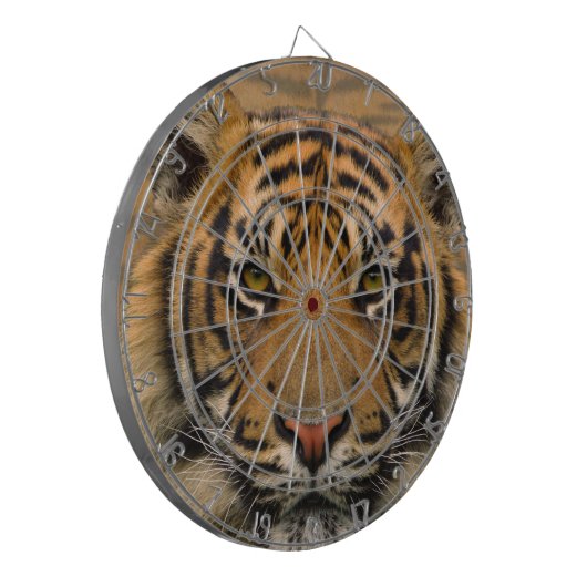 Jeu De Fléchettes Tigre (Devant gauche)