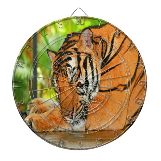 Jeu De Fléchettes Tigre couchant (Devant)