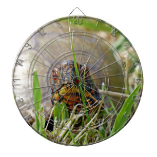 Jeu De Fléchettes Tortue de boîte