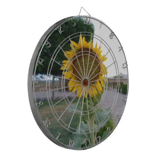 Jeu De Fléchettes Tournesol (Devant gauche)